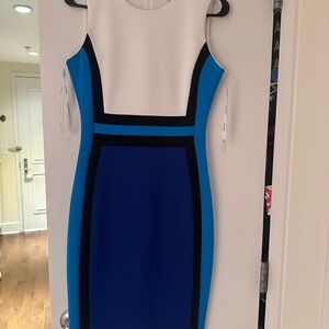 Calvin Klein Blue and White Midi Dress